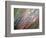 Dew-Ursula Abresch-Framed Photographic Print