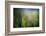 Dew-Ursula Abresch-Framed Photographic Print