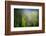 Dew-Ursula Abresch-Framed Photographic Print