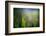 Dew-Ursula Abresch-Framed Photographic Print