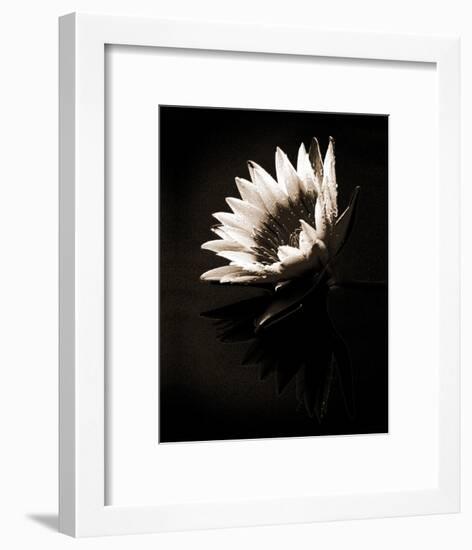 Dewdrops-X^ Luo-Framed Art Print