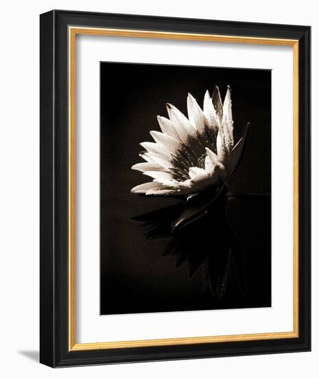 Dewdrops-X^ Luo-Framed Art Print