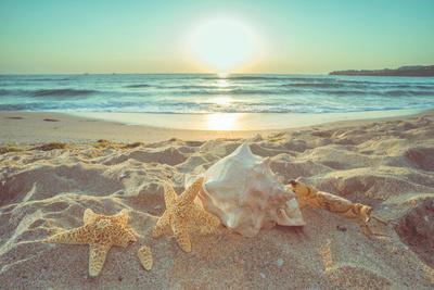 Ocean Wall Photo Golden Sand Starfish Starfish Salute Photo Decor Beach Starfish Art Sunset Beach Sand Dune Photography