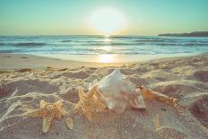 Starfish and Shells on the Beach at Sunrise-Deyan Georgiev-Photographic Print