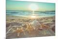 Premium Photographic Print