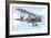 Dh9A Light Bomber-John Keay-Framed Giclee Print