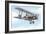 Dh9A Light Bomber-John Keay-Framed Giclee Print