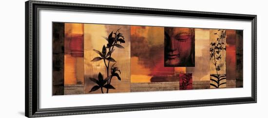 Dharma II-Chris Donovan-Framed Art Print