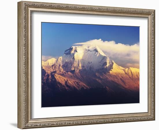 Dhaulagiri Himal Seen from Khopra, Annapurna Conservation Area, Dhawalagiri (Dhaulagiri), Nepal-Jochen Schlenker-Framed Photographic Print