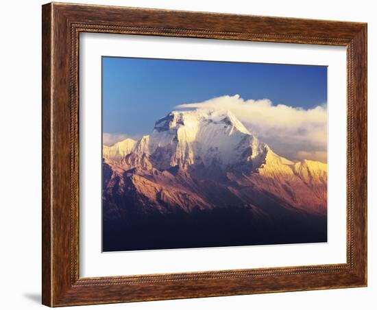 Dhaulagiri Himal Seen from Khopra, Annapurna Conservation Area, Dhawalagiri (Dhaulagiri), Nepal-Jochen Schlenker-Framed Photographic Print