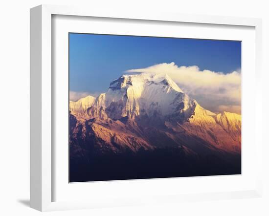 Dhaulagiri Himal Seen from Khopra, Annapurna Conservation Area, Dhawalagiri (Dhaulagiri), Nepal-Jochen Schlenker-Framed Photographic Print