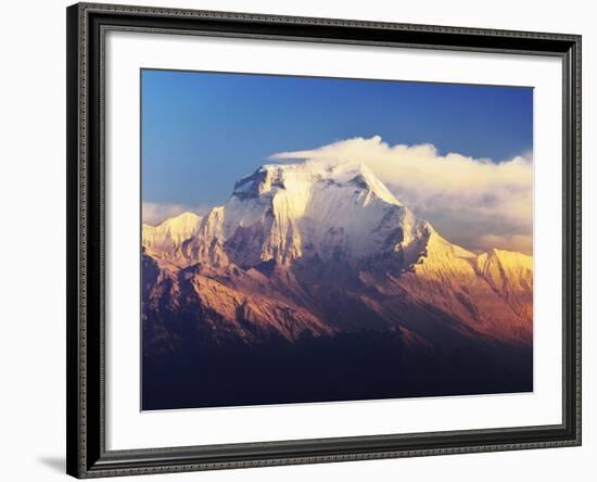 Dhaulagiri Himal Seen from Khopra, Annapurna Conservation Area, Dhawalagiri (Dhaulagiri), Nepal-Jochen Schlenker-Framed Photographic Print