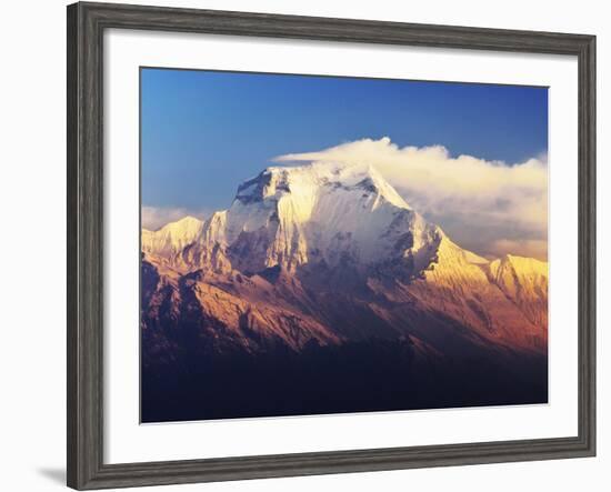 Dhaulagiri Himal Seen from Khopra, Annapurna Conservation Area, Dhawalagiri (Dhaulagiri), Nepal-Jochen Schlenker-Framed Photographic Print