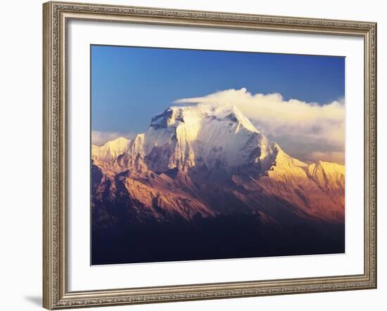 Dhaulagiri Himal Seen from Khopra, Annapurna Conservation Area, Dhawalagiri (Dhaulagiri), Nepal-Jochen Schlenker-Framed Photographic Print