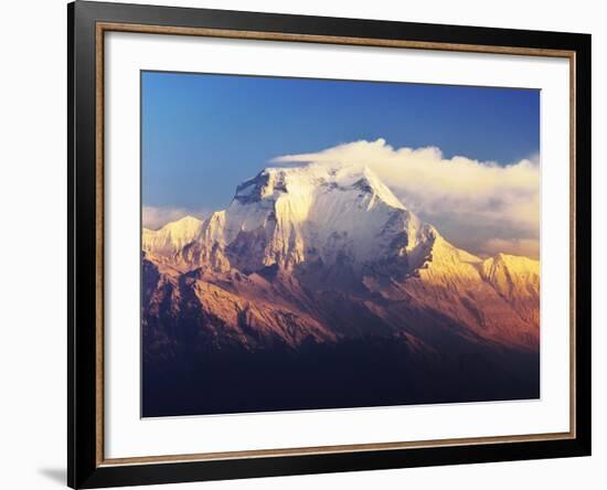 Dhaulagiri Himal Seen from Khopra, Annapurna Conservation Area, Dhawalagiri (Dhaulagiri), Nepal-Jochen Schlenker-Framed Photographic Print