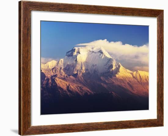 Dhaulagiri Himal Seen from Khopra, Annapurna Conservation Area, Dhawalagiri (Dhaulagiri), Nepal-Jochen Schlenker-Framed Photographic Print