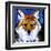 Dhole-null-Framed Art Print