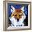 Dhole-null-Framed Art Print