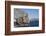 Dhow in Musandam Fjords, Oman, Middle East-Rolf Richardson-Framed Photographic Print