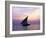 Dhow in Silhouette on the Indian Ocean at Sunset, off Stone Town, Zanzibar, Tanzania, East Africa-Lee Frost-Framed Photographic Print