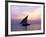 Dhow in Silhouette on the Indian Ocean at Sunset, off Stone Town, Zanzibar, Tanzania, East Africa-Lee Frost-Framed Photographic Print
