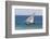 Dhow on Indian Ocean, Stone Town, Zanzibar, Tanzania-Alida Latham-Framed Photographic Print