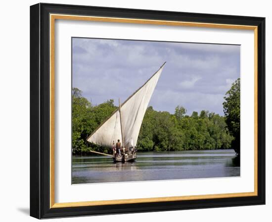 Dhow Sailing in Mangrove Channel, Lamu, Kenya-Alison Jones-Framed Photographic Print