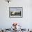 Dhow Sailing in Mangrove Channel, Lamu, Kenya-Alison Jones-Framed Photographic Print displayed on a wall