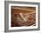 Dhows are still constructed using the traditional methods at Ajman wharf-Werner Forman-Framed Giclee Print