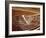 Dhows are still constructed using the traditional methods at Ajman wharf-Werner Forman-Framed Giclee Print