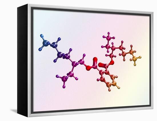 Di(2-ethylhexyl) Phthalate-Dr. Mark J.-Framed Premier Image Canvas