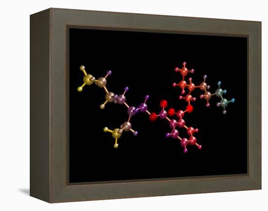 Di(2-ethylhexyl) Phthalate-Dr. Mark J.-Framed Premier Image Canvas
