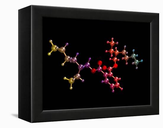 Di(2-ethylhexyl) Phthalate-Dr. Mark J.-Framed Premier Image Canvas