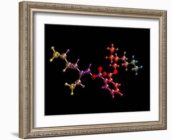 Di(2-ethylhexyl) Phthalate-Dr. Mark J.-Framed Photographic Print