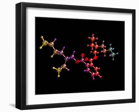 Di(2-ethylhexyl) Phthalate-Dr. Mark J.-Framed Photographic Print