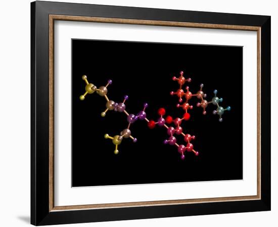 Di(2-ethylhexyl) Phthalate-Dr. Mark J.-Framed Photographic Print