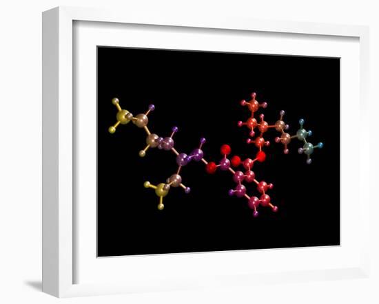 Di(2-ethylhexyl) Phthalate-Dr. Mark J.-Framed Photographic Print