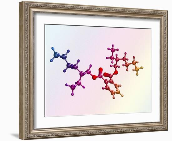 Di(2-ethylhexyl) Phthalate-Dr. Mark J.-Framed Photographic Print