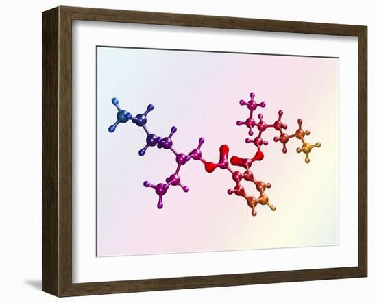 Di(2-ethylhexyl) Phthalate-Dr. Mark J.-Framed Photographic Print