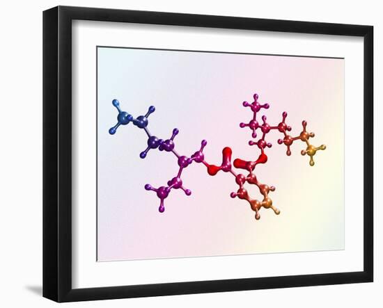Di(2-ethylhexyl) Phthalate-Dr. Mark J.-Framed Photographic Print