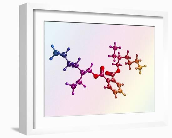 Di(2-ethylhexyl) Phthalate-Dr. Mark J.-Framed Photographic Print