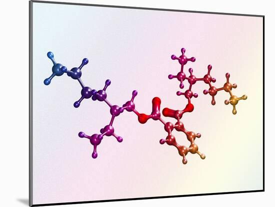 Di(2-ethylhexyl) Phthalate-Dr. Mark J.-Mounted Photographic Print