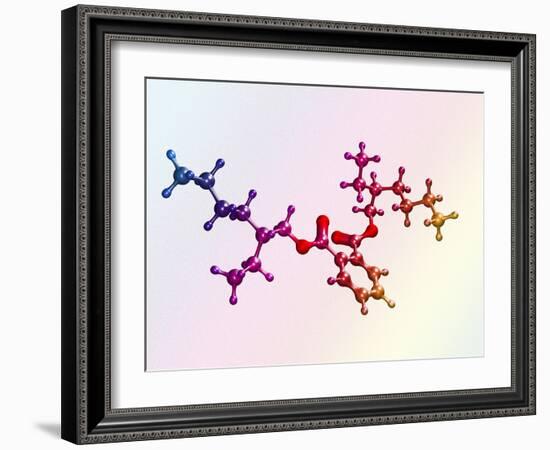 Di(2-ethylhexyl) Phthalate-Dr. Mark J.-Framed Photographic Print