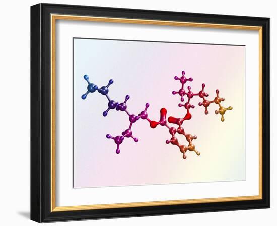 Di(2-ethylhexyl) Phthalate-Dr. Mark J.-Framed Photographic Print
