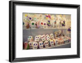 Dia De Los Muertos (Day of the Dead) Souvenirs, San Miguel De Allende, Guanajuato-Ben Pipe-Framed Photographic Print