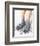 Diabetes-related Foot Problems, Artwork-David Mack-Framed Premium Photographic Print