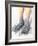 Diabetes-related Foot Problems, Artwork-David Mack-Framed Photographic Print