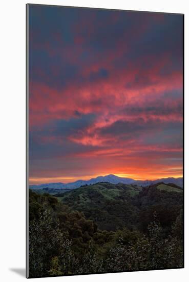 Diablo Rises, Mount Diablo, Bay Area, Walnut Creek-Vincent James-Mounted Photographic Print