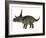 Diabloceratops Dinosaur-Stocktrek Images-Framed Art Print