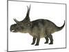 Diabloceratops Dinosaur-Stocktrek Images-Mounted Art Print